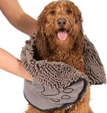 Dogs