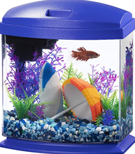Fish & Aquatic Pets