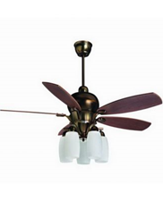 Lighting & Ceiling Fans